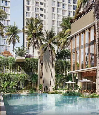 Purva Codename Flow hero image